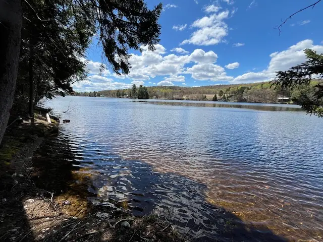 a lake with trees and a blue sky