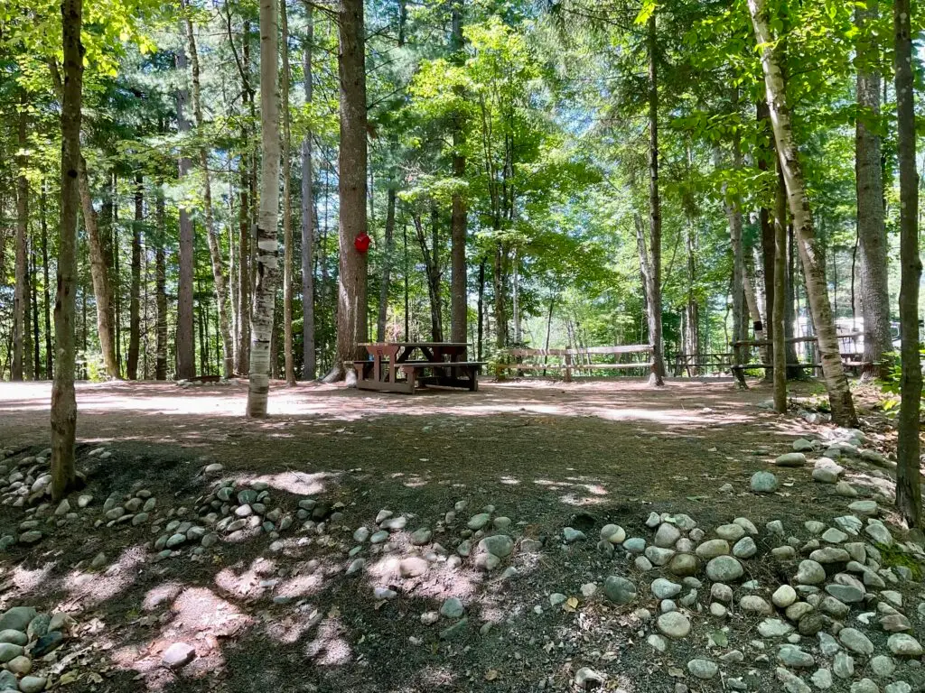 a picnic table in the woods