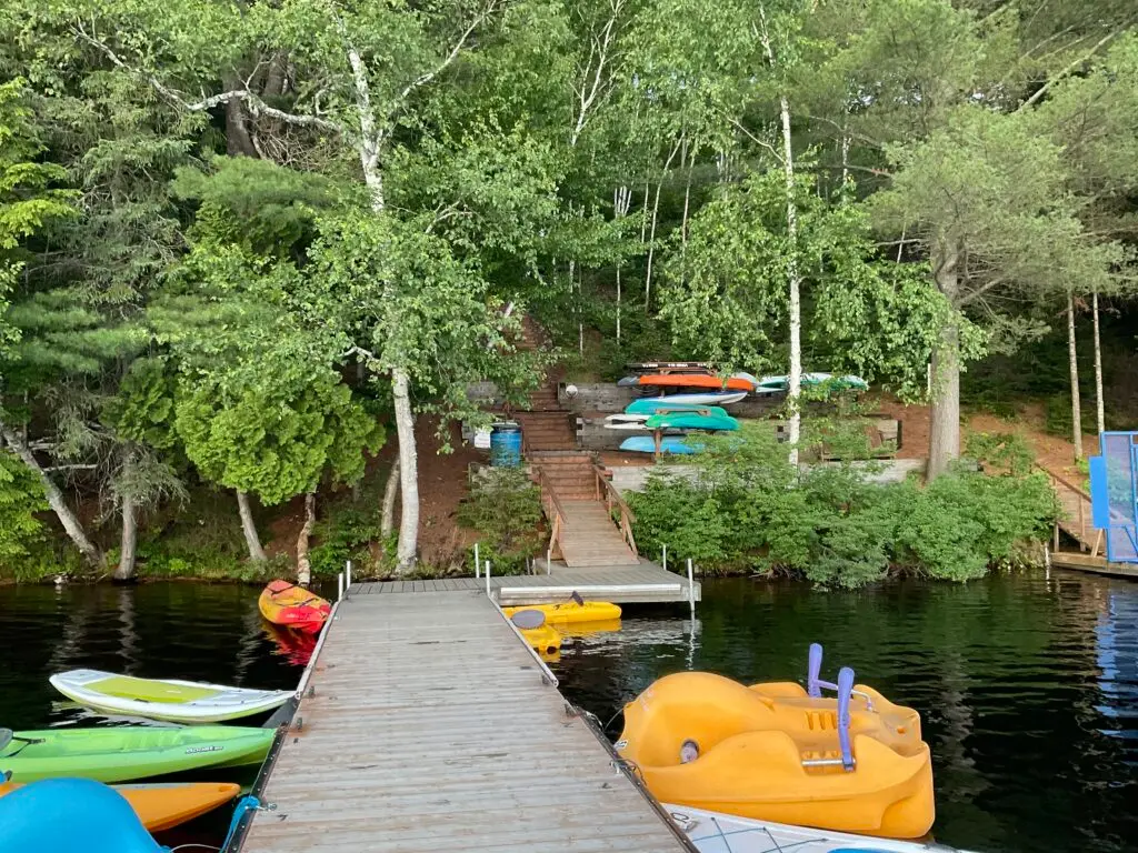 a dock with boats and trees